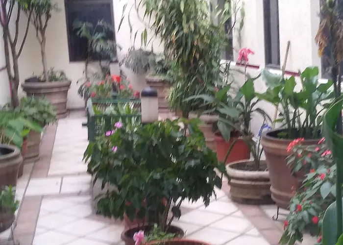 Hotel Ambar
